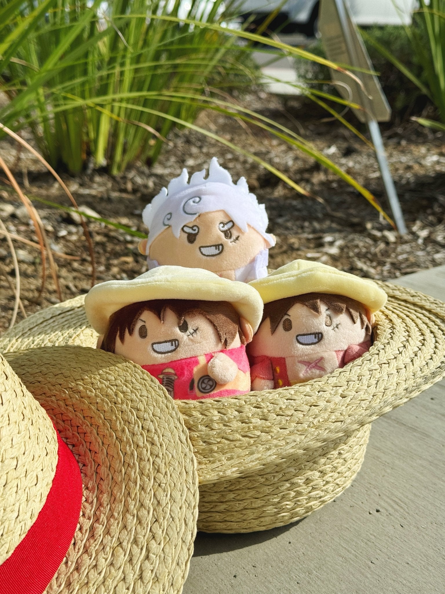 One Piece – Otaku Collectives