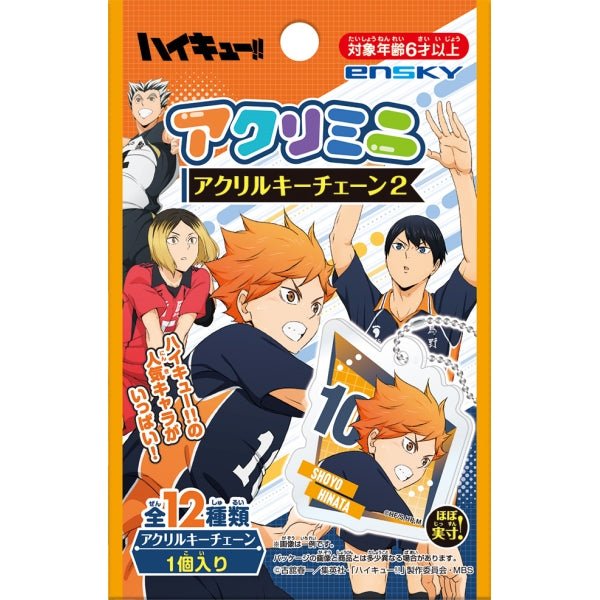 [Haikyuu!] Mini Acrylic Keychain Blind Bag - Otaku Collectives